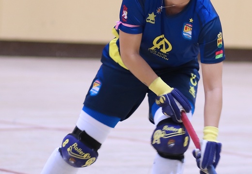 OK Liga femenina 2019-20 Alcorcon-Palau